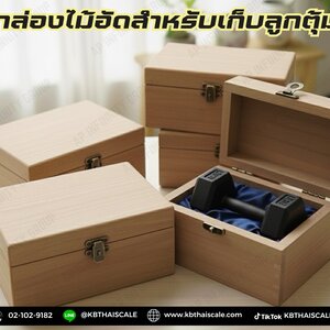 กล่องไม้อัดสำหรับใส่ลูกตุ้มเหล็กหล่อ