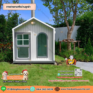 บ้านหมา บ้านแมว DogHouseVilla บ้านสุนัขกลางแจ้ง