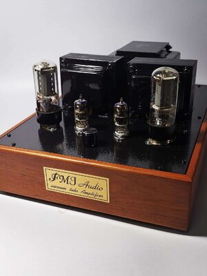Tube amp 6L6SE
