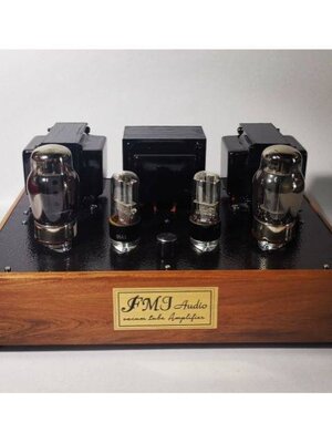 Tube amp 6550 SE