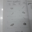 หนังสือ New Active English ป.1 หนังสือฝึกหัดพูดและเขียน สำนักพิมพ์ อจท