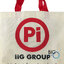 บริษัท โปรเฟสชั่นนอล อินซูเลชั่น จำกัด (iiG Group)