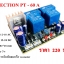 โพรเทคชั่น PT - 60A