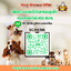 DogHouseVilla บ้านสุนัข บ้านหมา บ้านแมว พร้อมส่ง