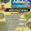 แนวข้อสอบพนักงานวางแผน การท่องเที่ยวแห่งประเทศไทย ททท.