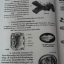หนังสือสื่อการเรียนรู้และเสริมสร้างทักษะตามมาตรฐานและตัวชี้วัด กลุ่มสาระการเรียนรู้วิทยาศาสตร์ ชั้น ม.1 เล่ม 1 สำนักพิมพ์นิยมวิทยา