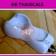 เครื่องนวดหน้าไครโอเย็นมือถือ Spa Beauty Transmit