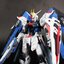 [Daban] MG 1/100 6650 ZGM F-X10A Freedom2.0