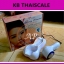 เครื่องนวดหน้าไครโอเย็นมือถือ Spa Beauty Transmit