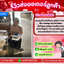 ตาชั่งดิจิตอล3000กรัม เครื่องชั่งดิจิตอล3000g เครื่องชั่งน้ำหนัก3000g ตาชั่ง3000g เครื่องชั่งอิเล็กทรอนิกส์3000g ละเอียด0.01g TOMS รุ่นTM-EXC30002