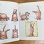Yoga for Cats: The First Feline Fitness Programme