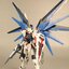 [Daban] MG 1/100 6650 ZGM F-X10A Freedom2.0