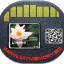 [ราคา ขาย จำหน่าย] Kingston 8MB 25X Compact Flash (CF Card)