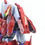 [Hun Shaung](Zero Gravity) MG 1/100 Blaze Flying Shadow(Deluxe Ver.)