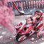 [SOSKILL] 1/12 Hatsune Miku - Cherry Blossom