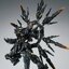 [VIENTIANE FUSION] MG 1/100 Black Apocalypse