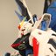 [Daban] MG 1/100 6650 ZGM F-X10A Freedom2.0