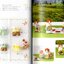 🏠 หนังสือแพทเทิร์นตัดเย็บเสื้อผ้าชุดตุ๊กตาซิลวาเนียน (ภาษาญี่ปุ่น)